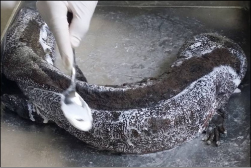 15426922033981.png image.png